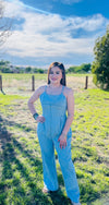Keep It Cute Denim Jumpsuit